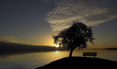 Menikmati Ritme Tenang dalam Kehidupan Sehari-hari